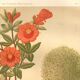 Old engraving from 1889. Grenadier. Botanical plate. Vintage red flower.