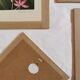 Orchid botanical board