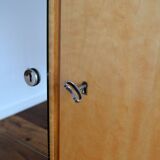 Vintage 1950s wardrobe / storage unit
