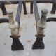 Old pair of wrought iron and bronze pegs