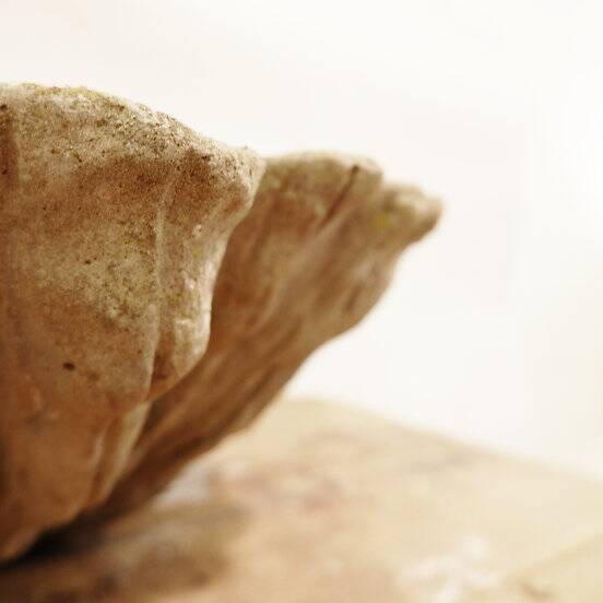 Antique Cement Shell Bird Bath