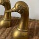 Brass duck head book greenhouse 60s.