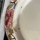 Gien centerpiece salad bowl