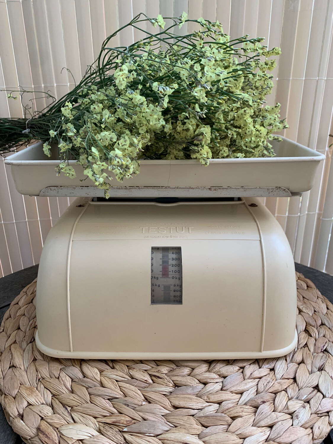 Testut household balance