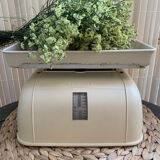 Testut household balance