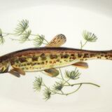Plat poisson porcelaine