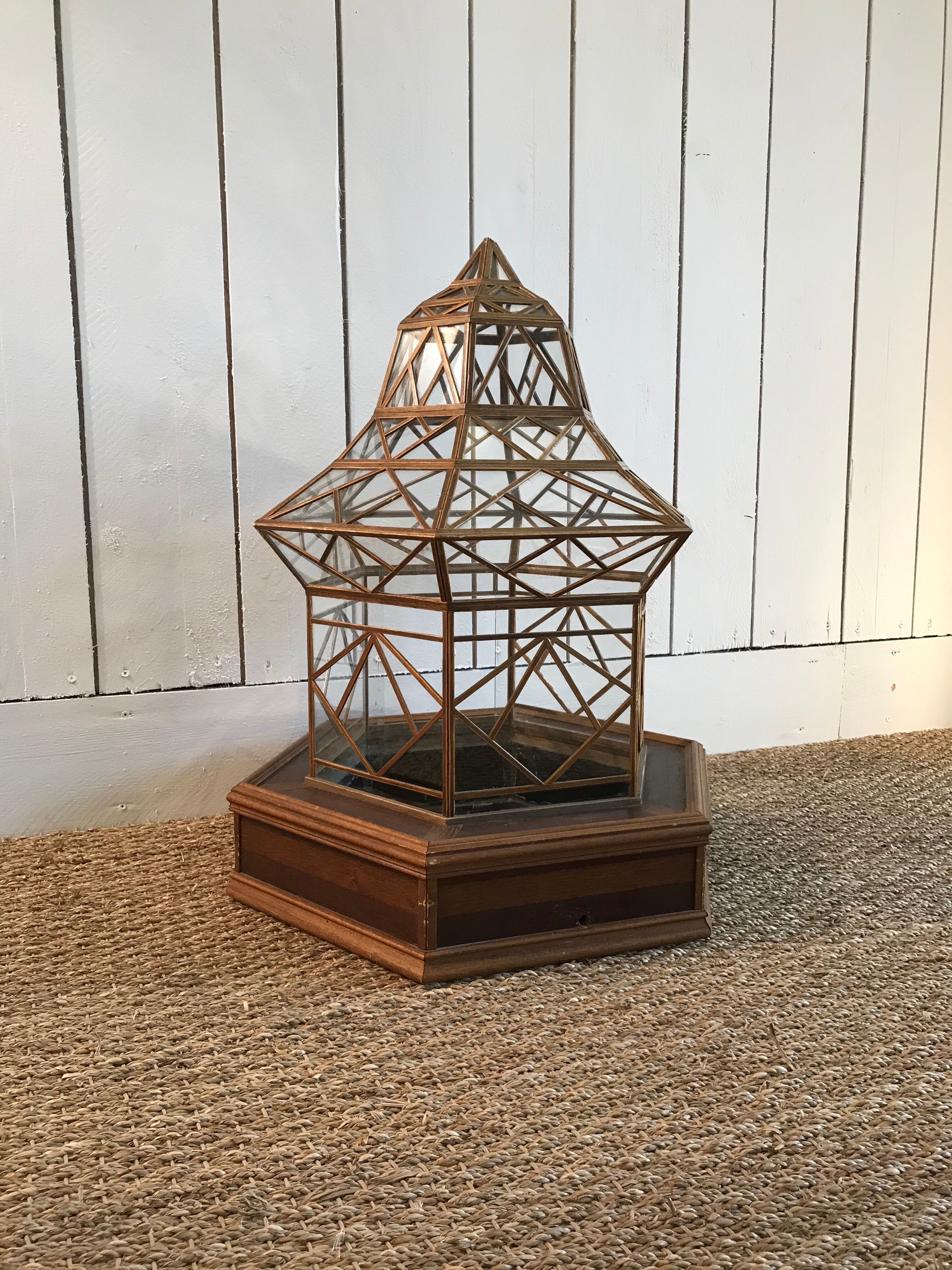 Cabinet of curiosity nineteenth century