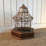 Cabinet de curiosité XIXe