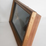 Butterflies naturalized under glass