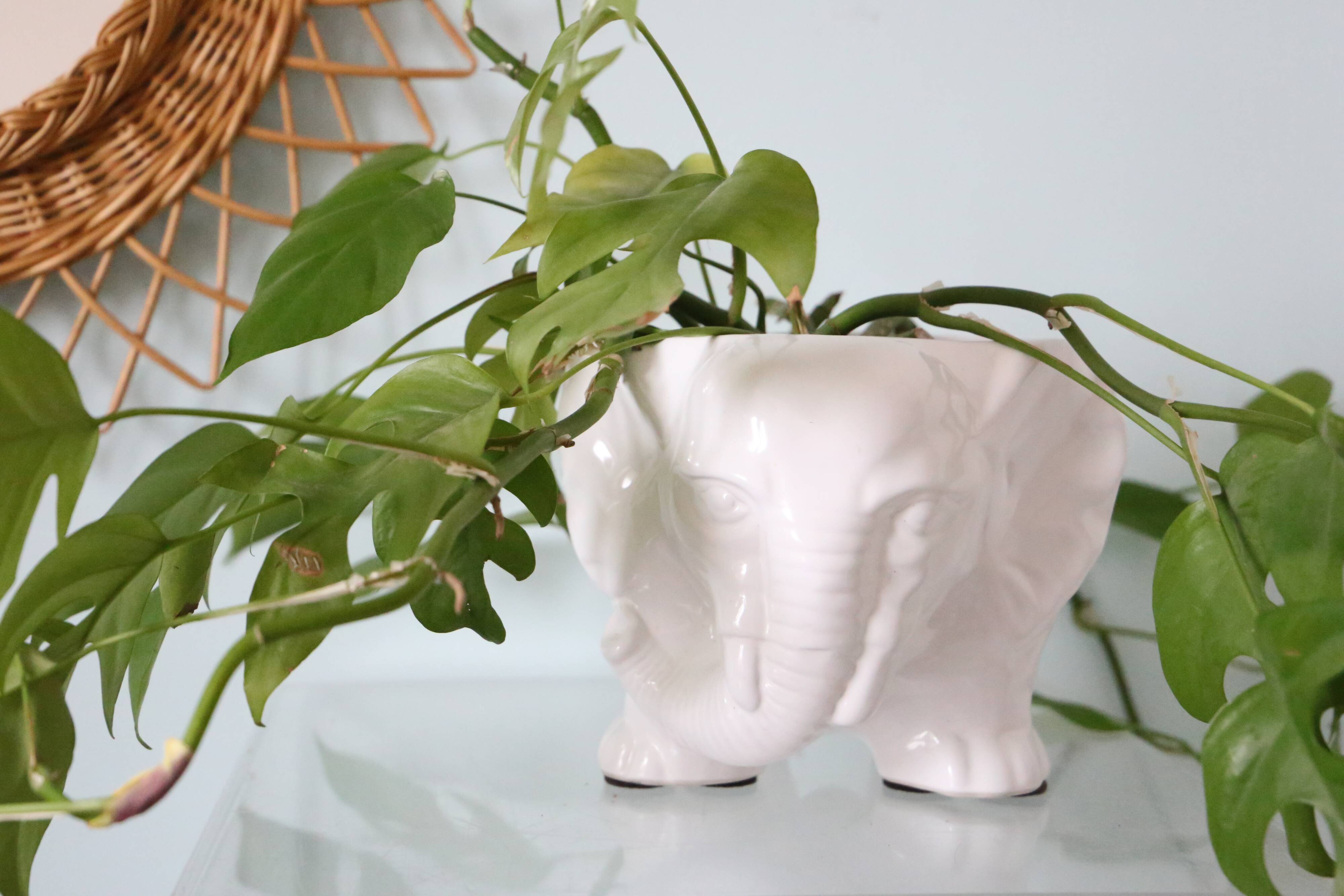 Cache pot éléphant vintage