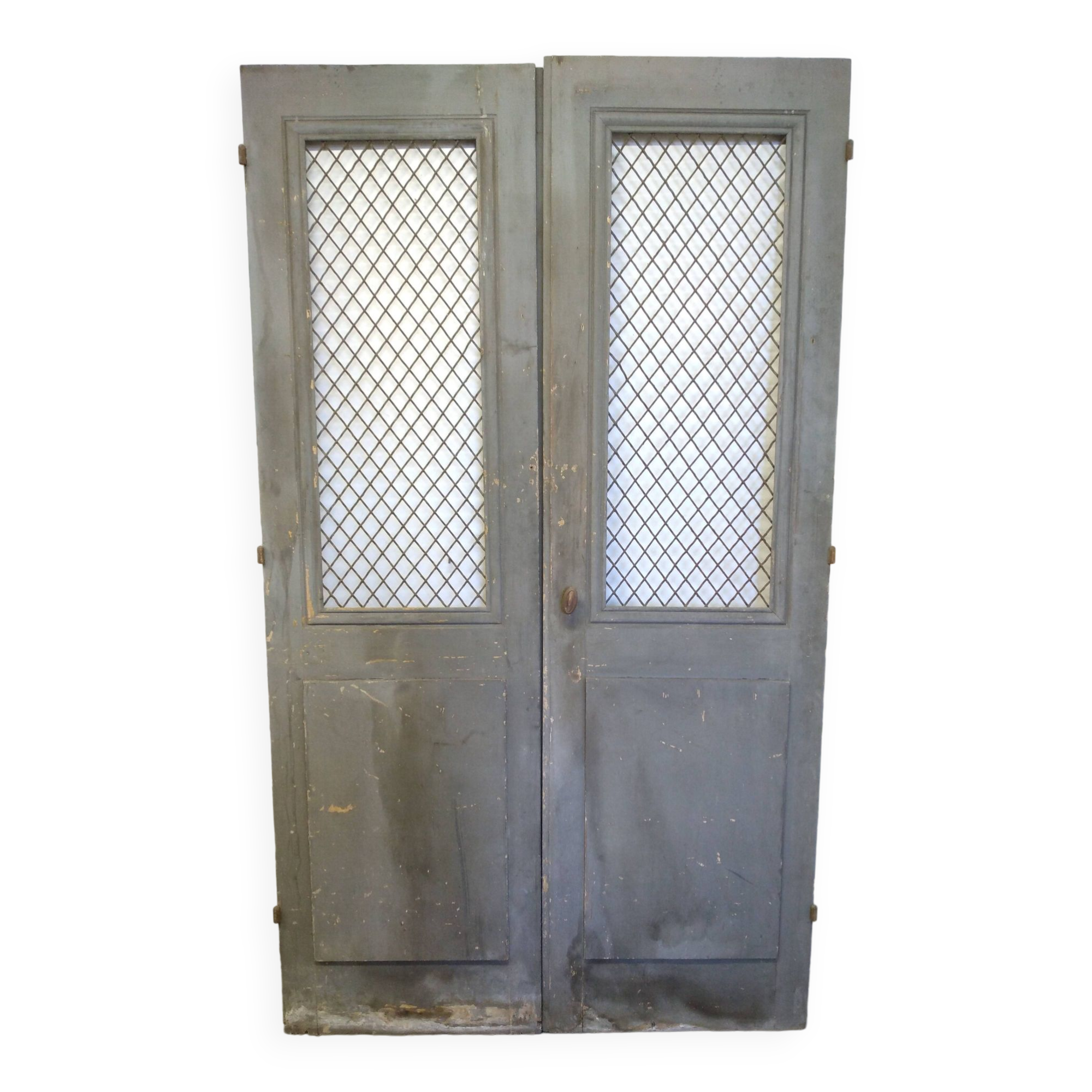 Double old mesh door
