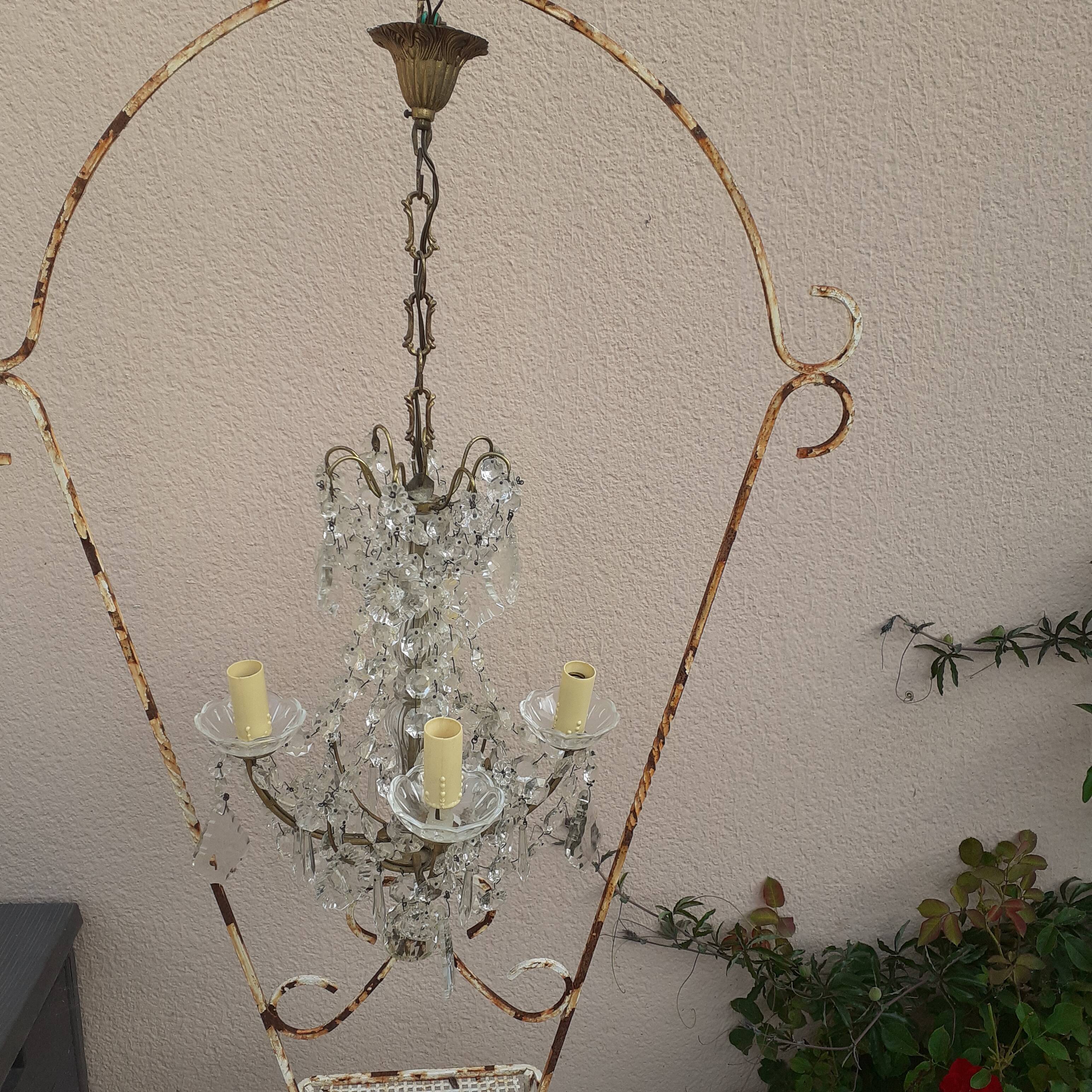 Grapefruit suspension.  4 lamps.