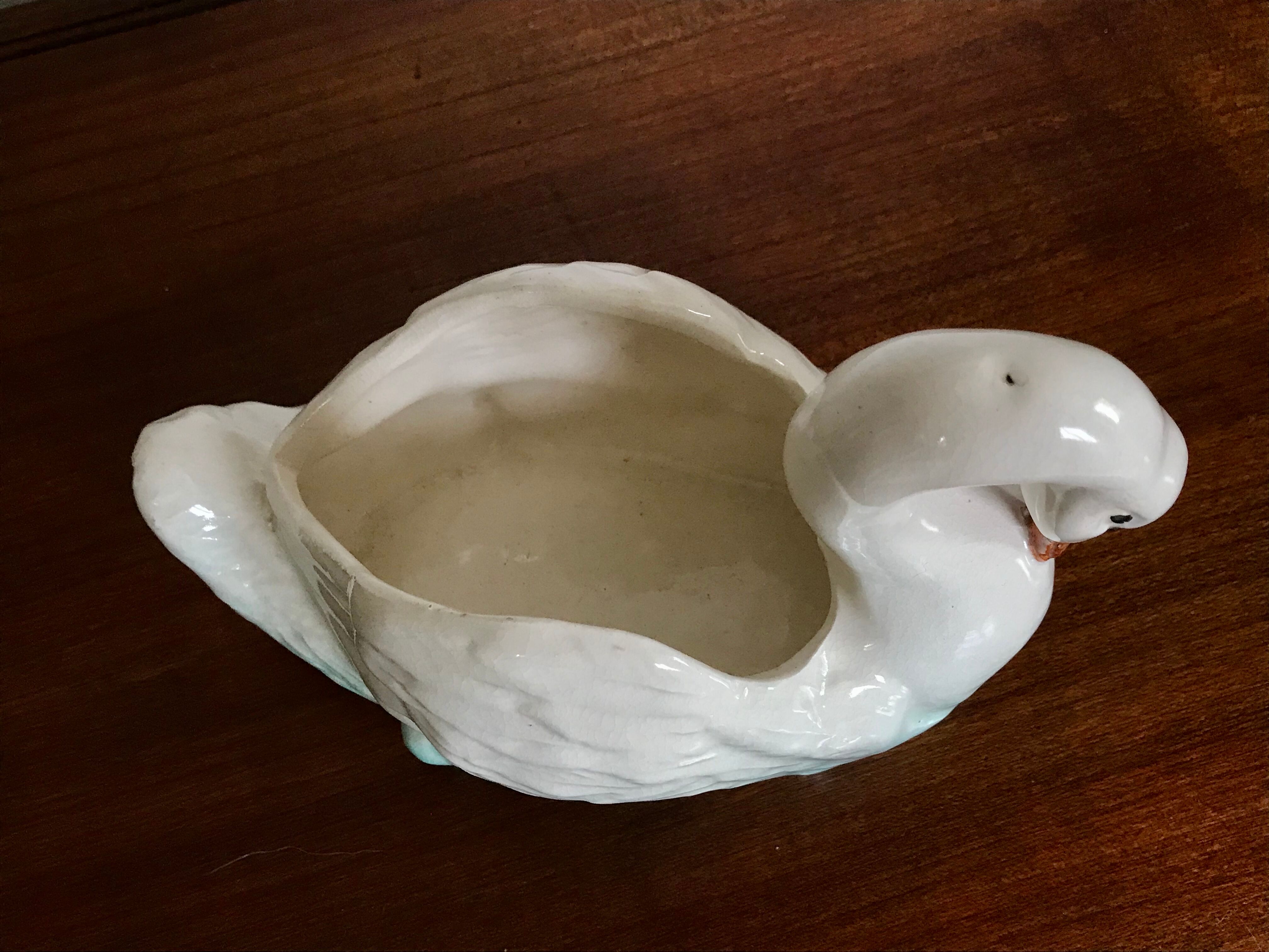 Ancient swan dabbling