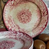 Five plates of earthenware from Pexonne 19th service "flowers"