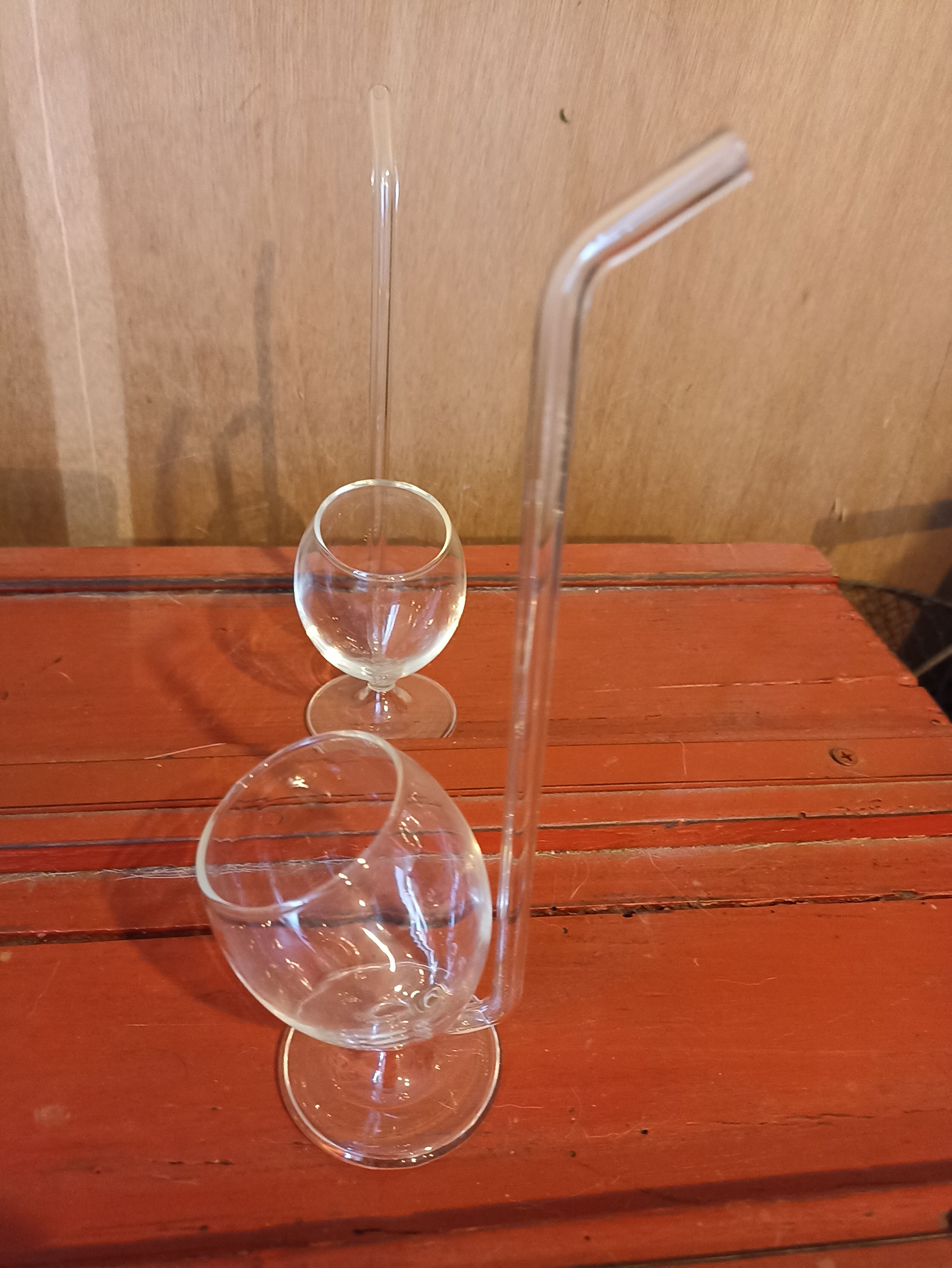 Paire de verres avec paille intégrée
