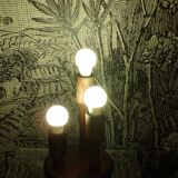 Temde Leuchten lamp in blackened pine