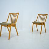 Set of 4 Dining Chairs Designed by Antonín Šuman, 1960s