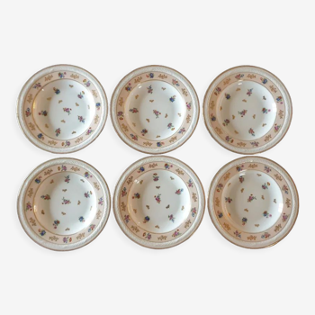 Raynaud et Cie - Series of 6 hollow plates - Limoges porcelain