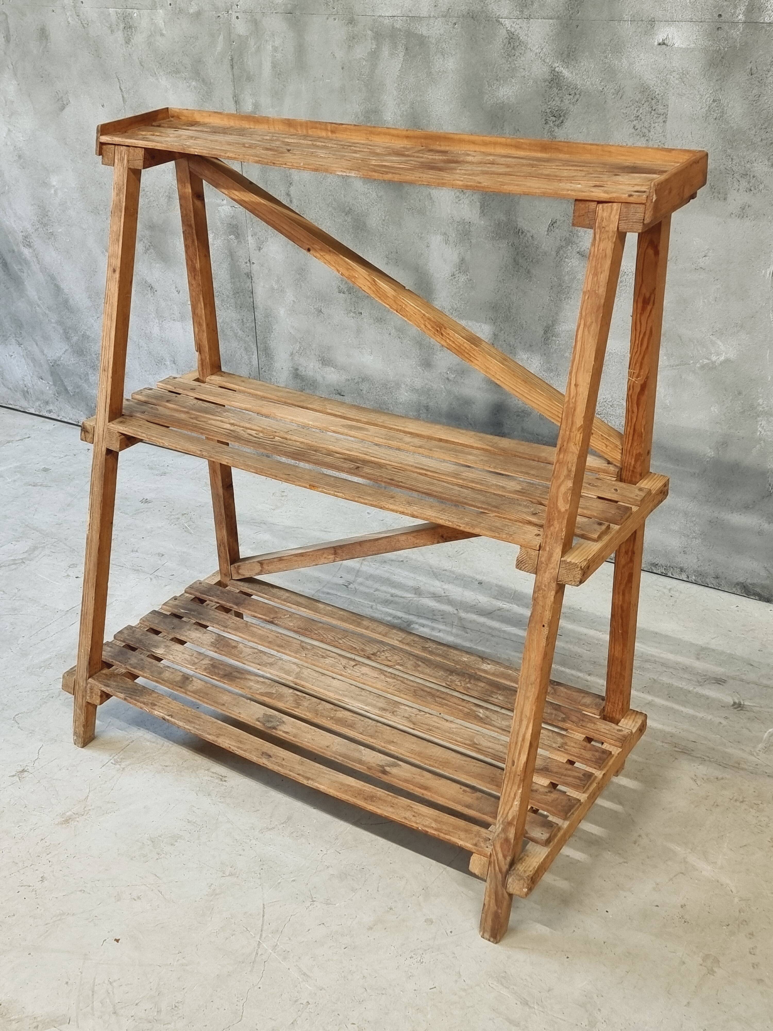 Plant shelf made of old pine wood