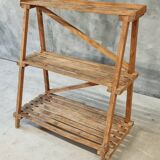 Étagère à plantes en bois de pin ancien