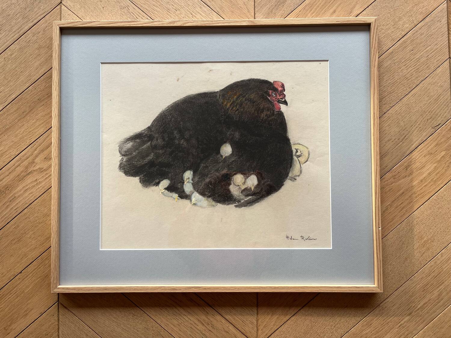 Black hen and her chicks, pastel on paper signed Hélène Rivière