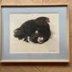 Black hen and her chicks, pastel on paper signed Hélène Rivière