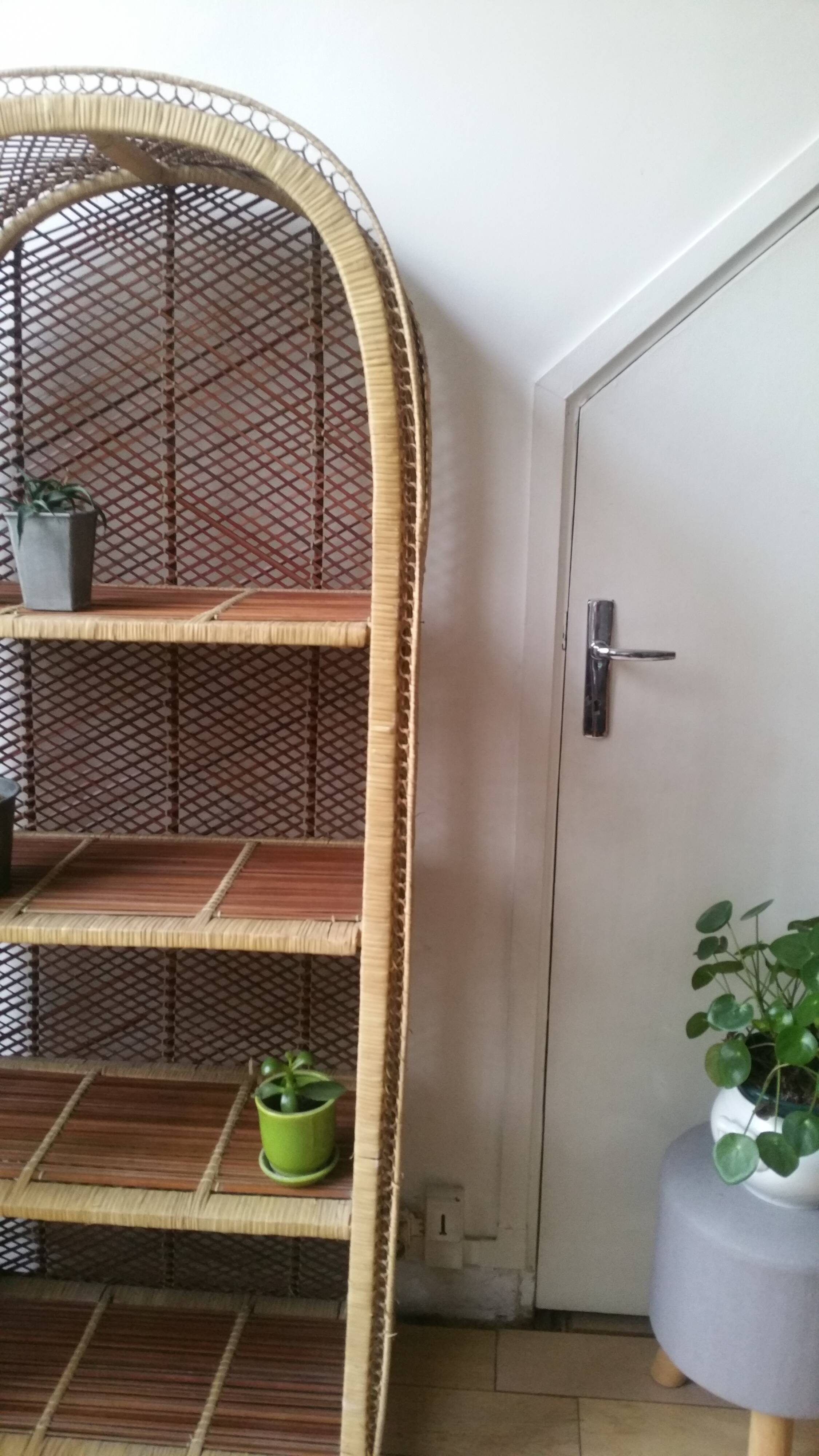 Rattan bookcase
