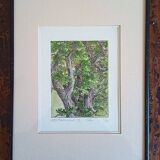 Enhanced etching - Christine Delessert - Lyonnaise school