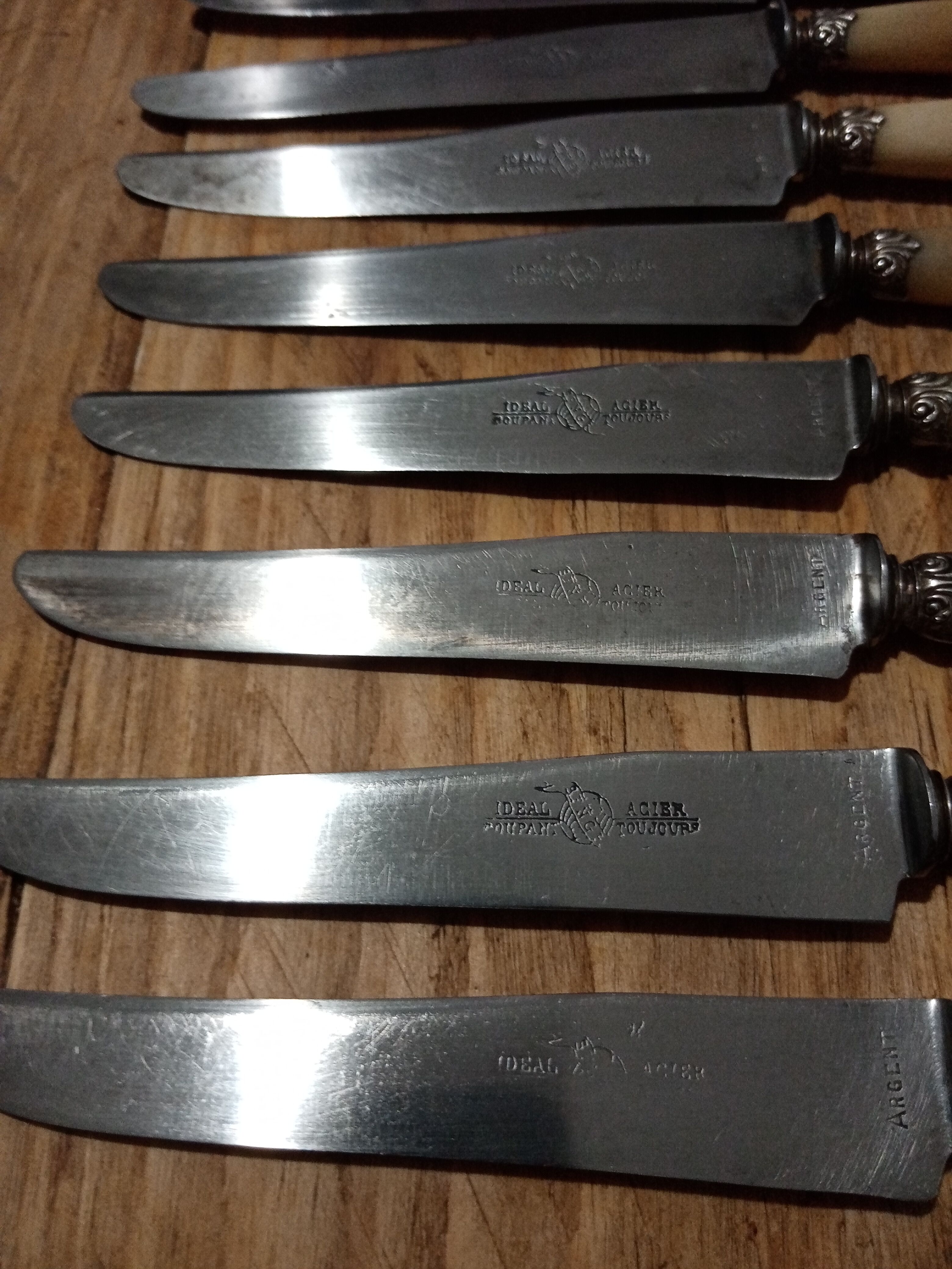 Box 12 old cheese knife 19th blade steel virole silver handle horn