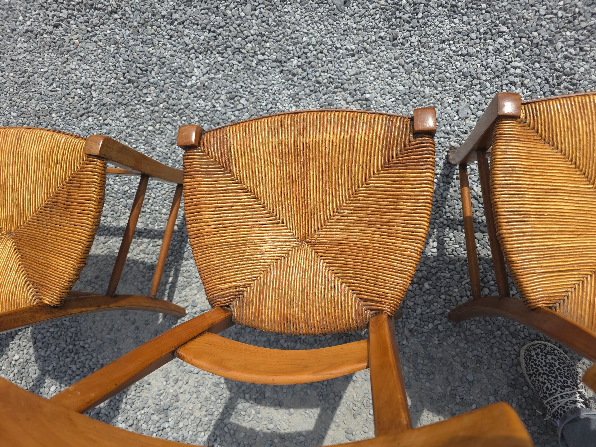 6 chaises en merisier