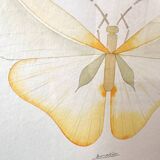 Cadre ovale Papillon