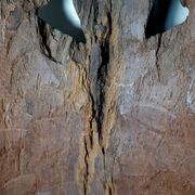 Visage énigmatique d'Afrique sculpté en bois d'ébène