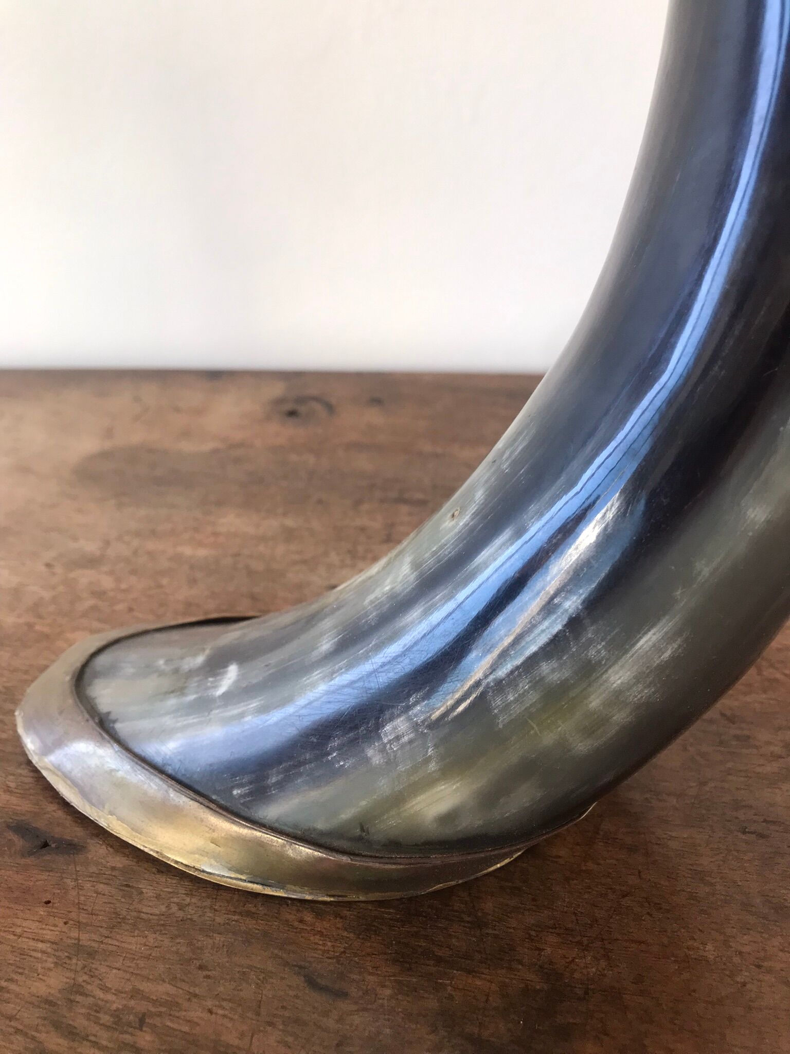 Polished beef horn on brass base
