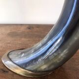 Polished beef horn on brass base