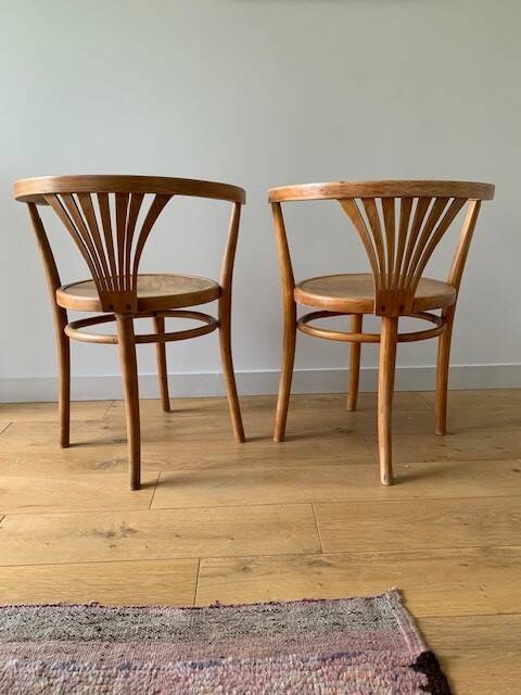 2 chaises Thonet 1900
