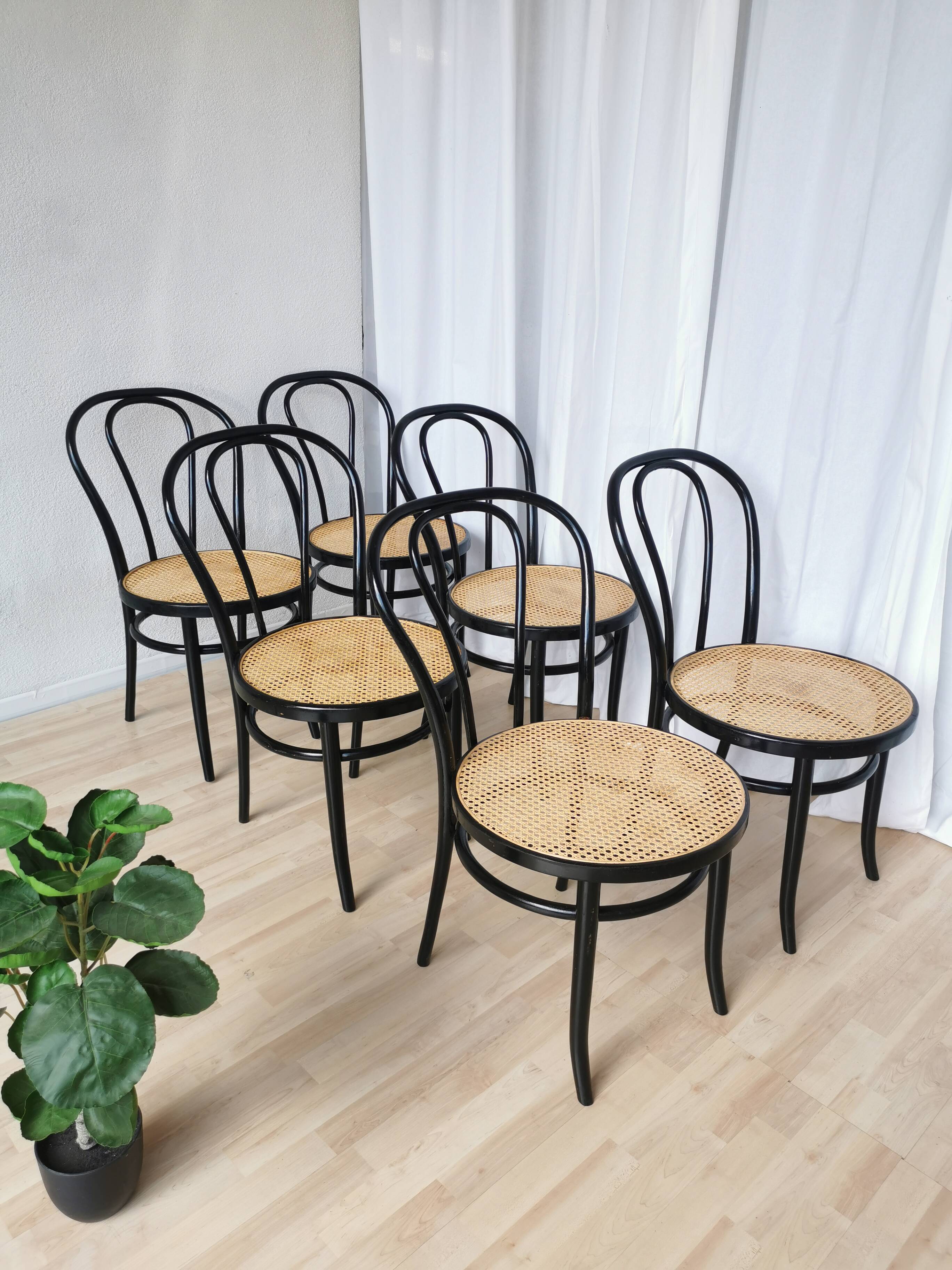 Set of 6 Vintage Thonet Style Dining Chairs: Black Bentwood Cane Seat