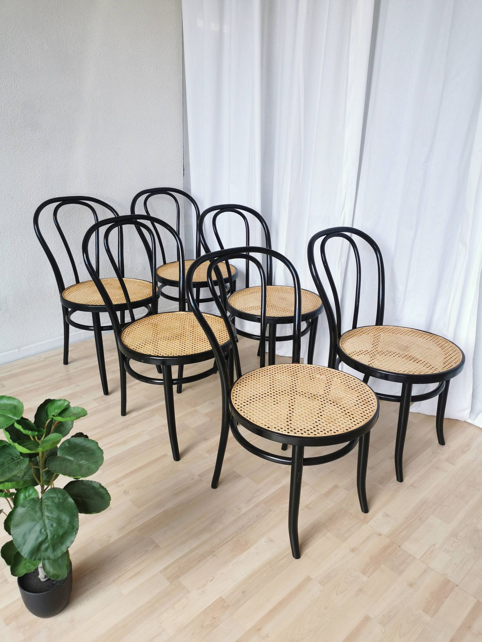 Set of 6 Vintage Thonet Style Dining Chairs: Black Bentwood Cane Seat