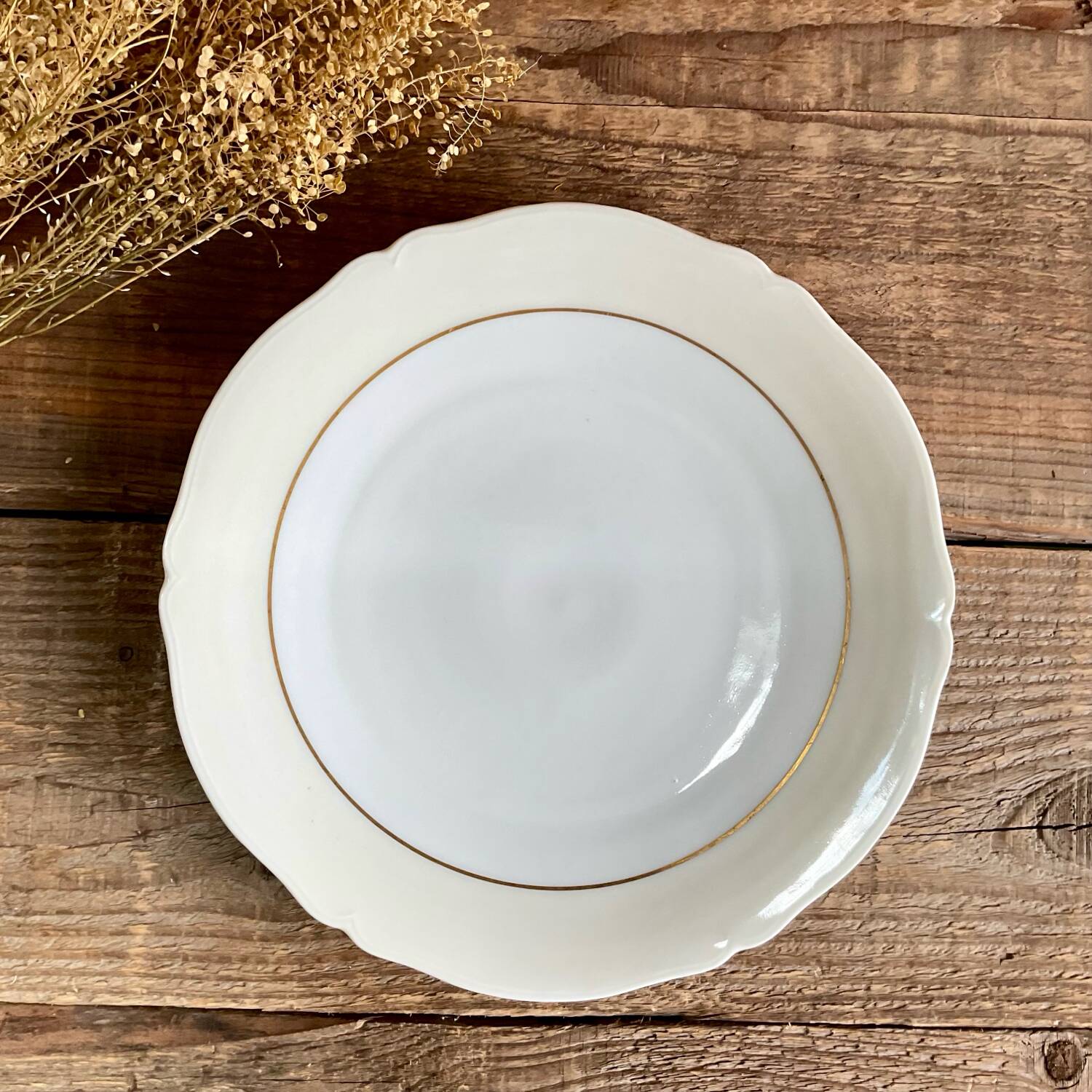 4 Limoges porcelain flat plates LEGRAND France