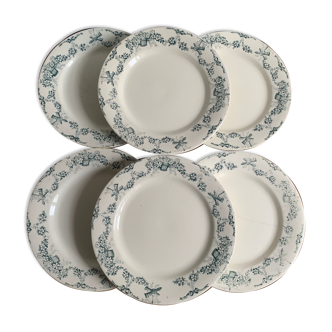 6 plates Salins Iron Earth