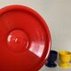 6 plastic shells bema zierikzee Holland