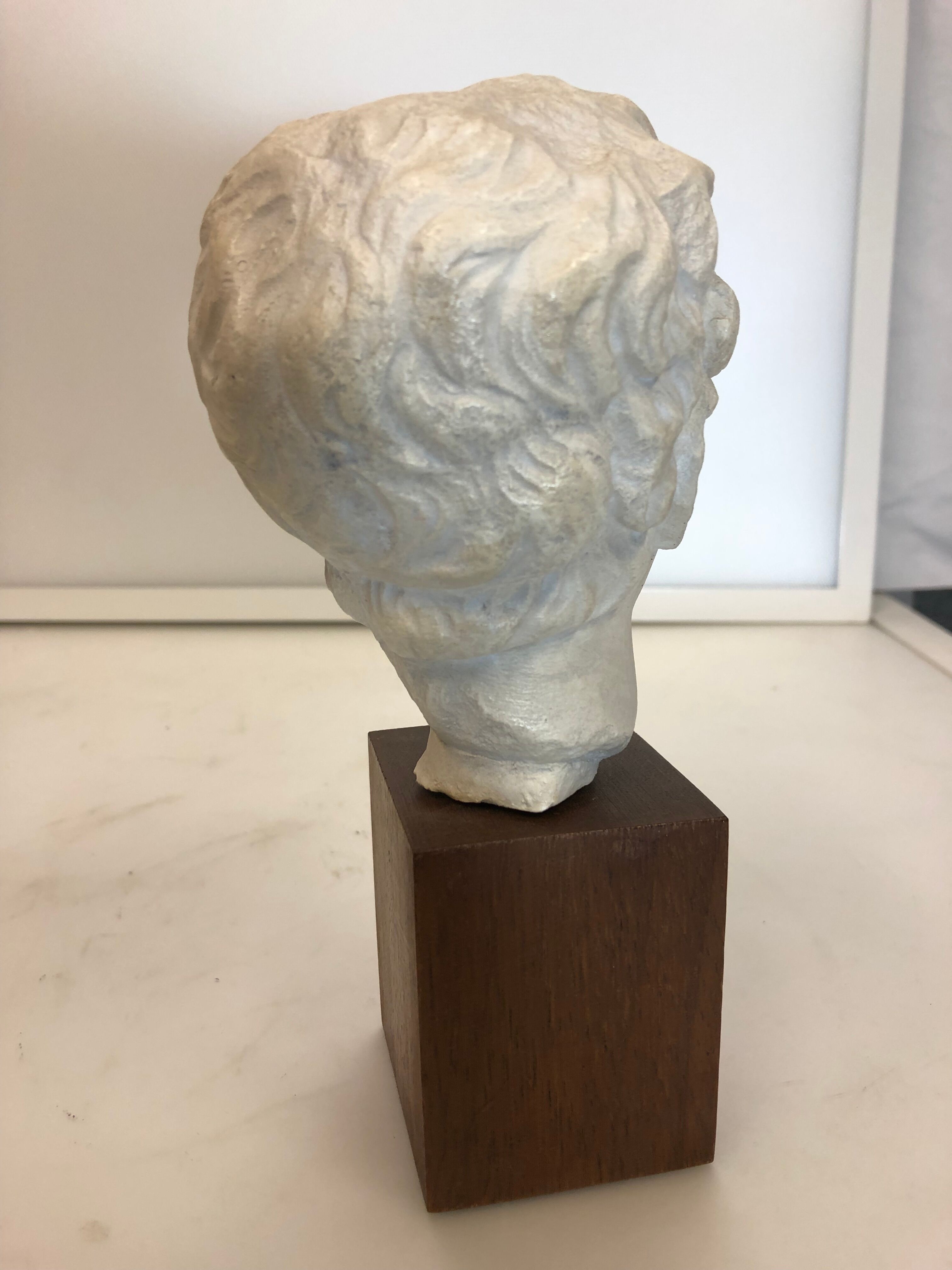 Statue bust roman man