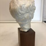 Statue bust roman man