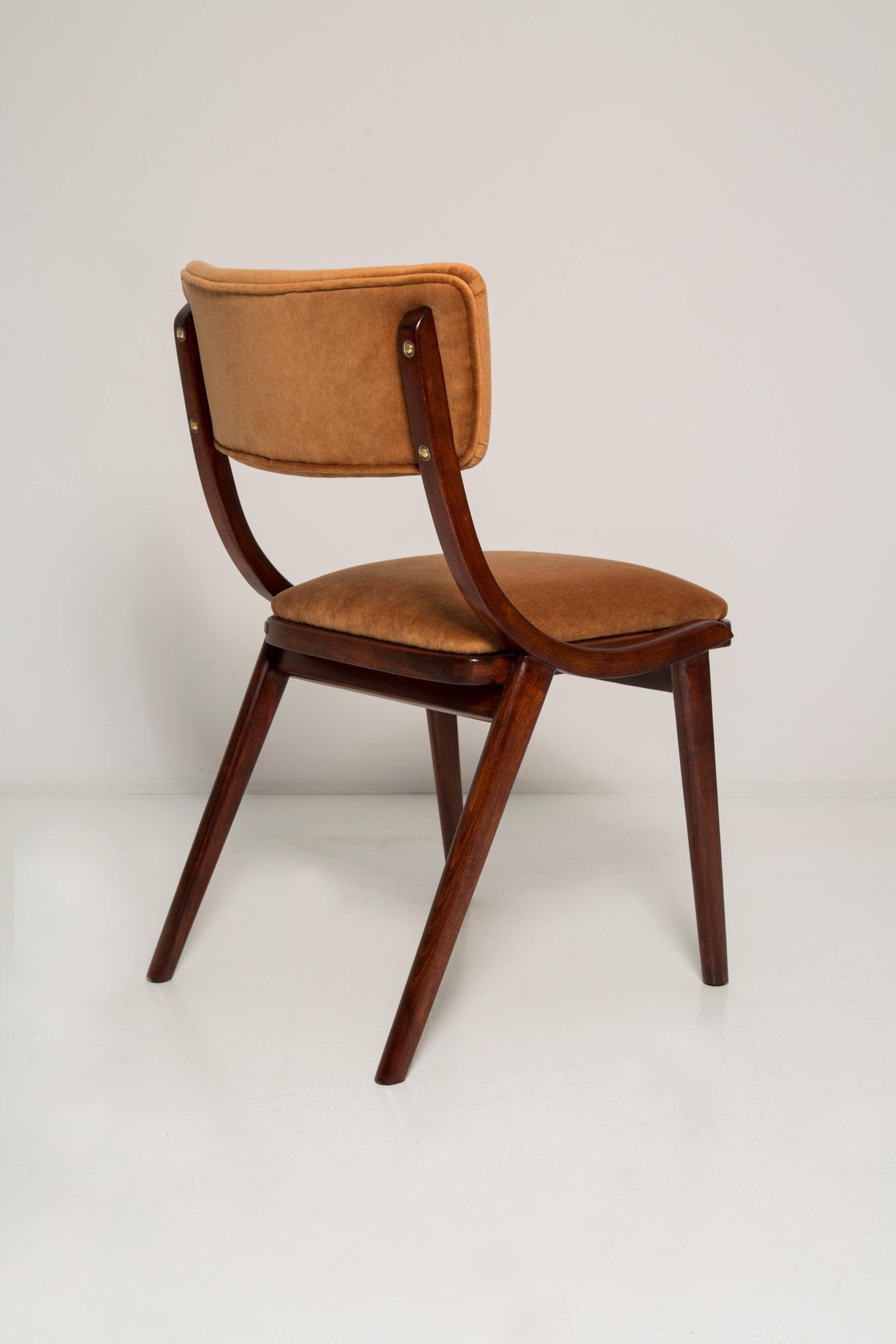 Mid-Century Modern Bumerang Chair, Brown Beige Velvet, Poland, 1960s