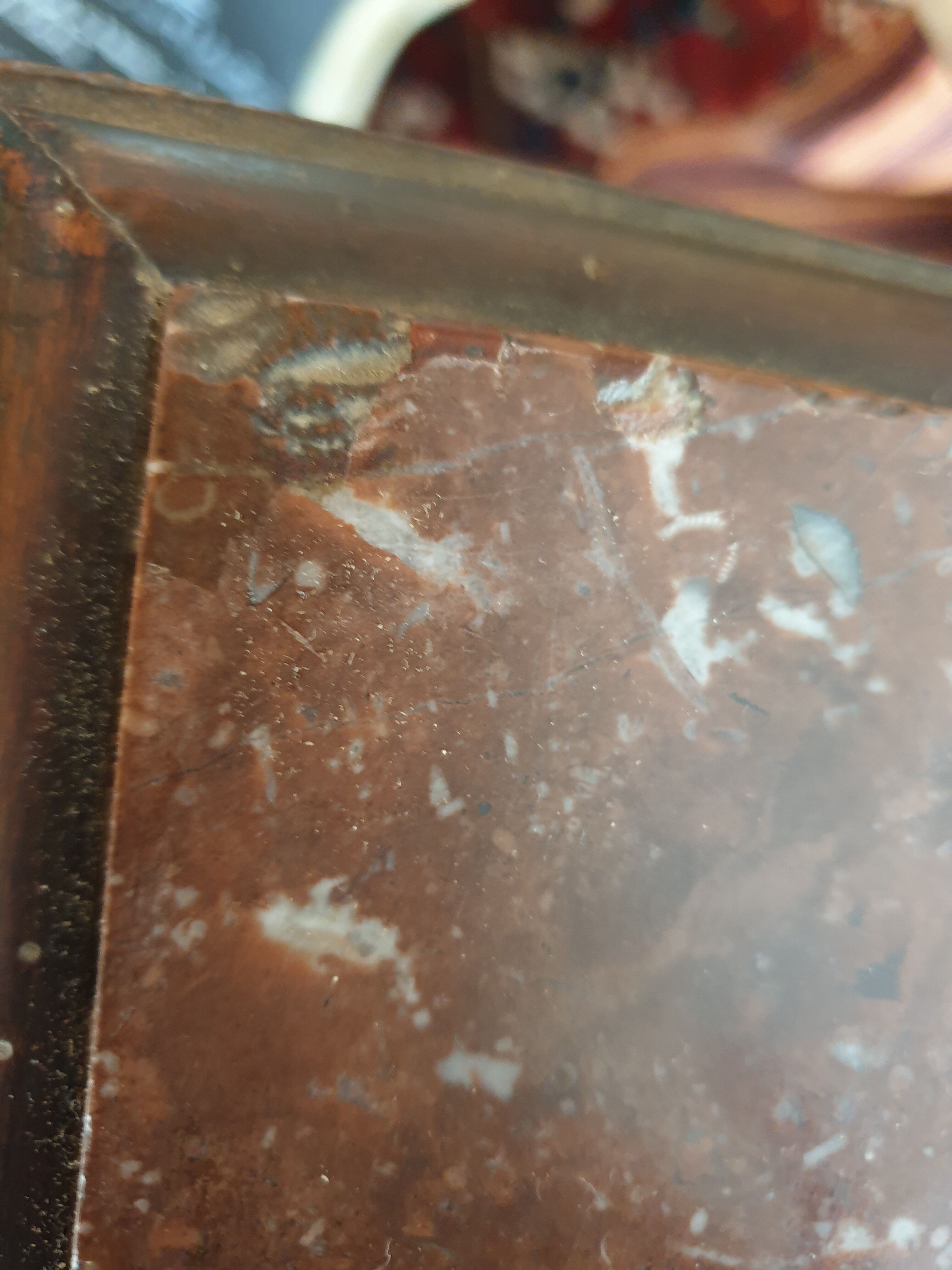 Saddle column griffin winged lion head