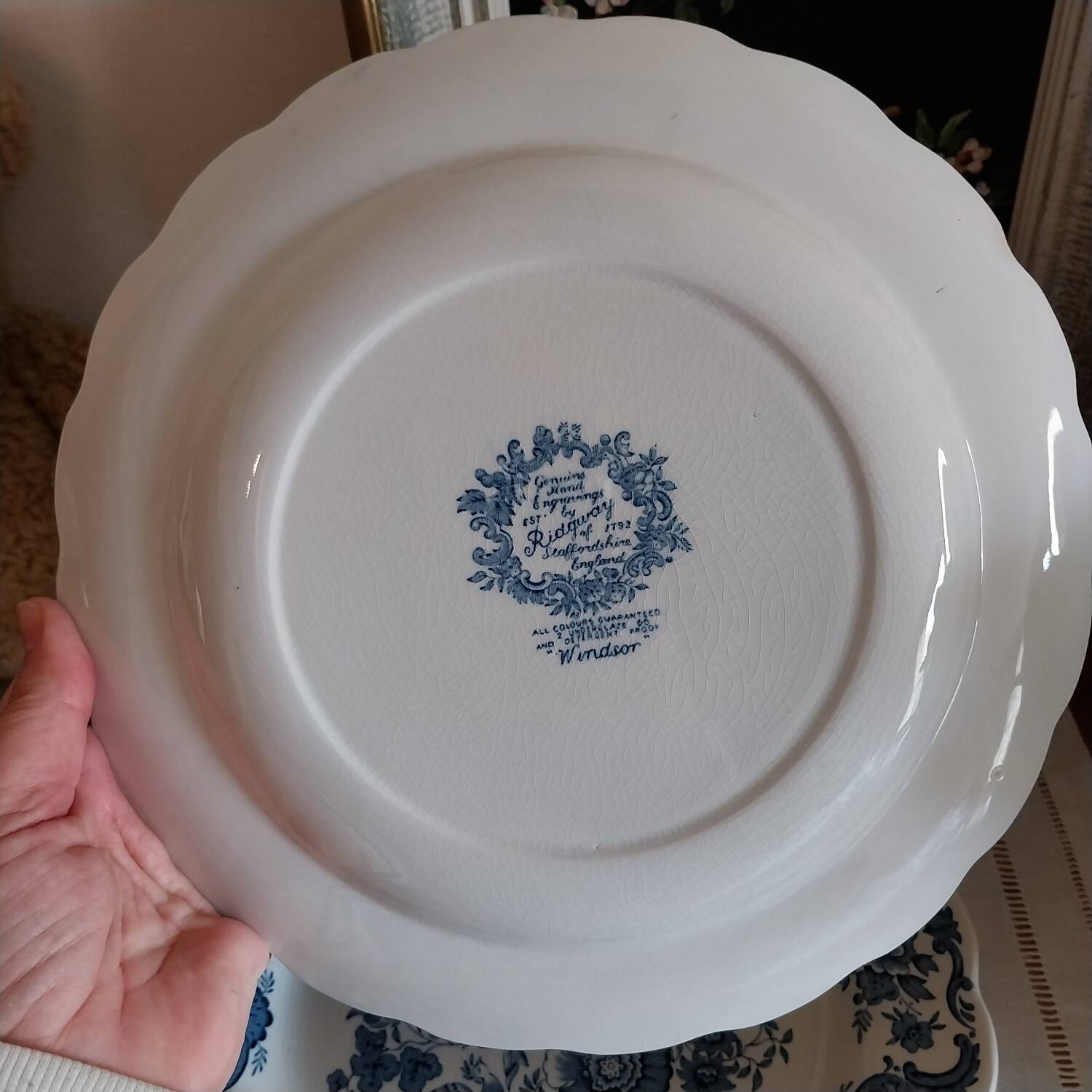 English dinner plates Ridgway of staffordshire Windsor