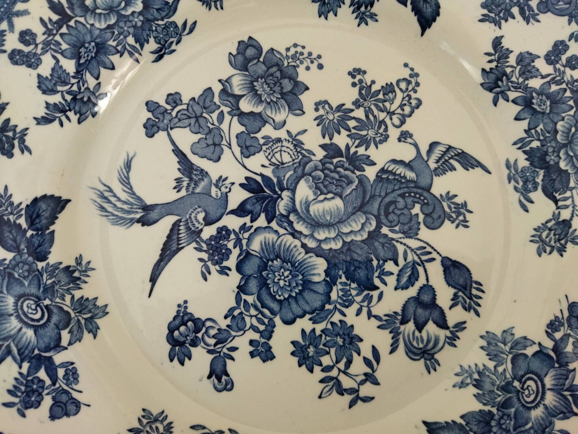 12 English dinner plates Enoch Wedgwood "Asiatic Pheasants"