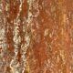 Georges Ciancimino - Very Important and Rare Square Travertine Coffee Table Ro