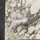 Table basse en marbre Arabescato 70s