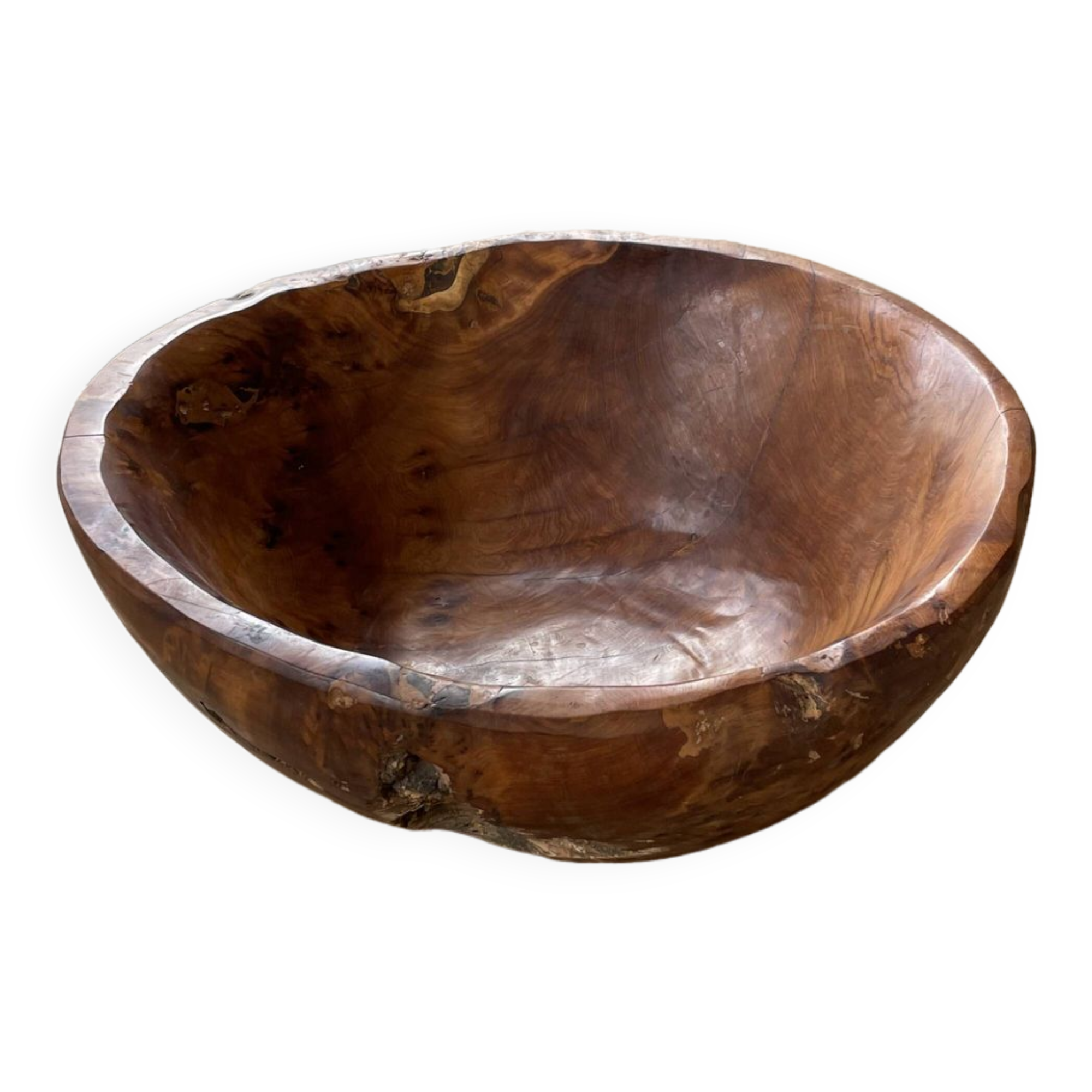 XL thuja root wooden dish