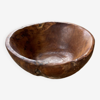 Plat en bois XL racine de thuya